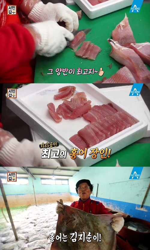 서민갑부 홍어 장인 , 오래된 역사와 맛 자랑 < 교양 < 방송 < 기사본문 - 라이브엔 서민갑부 홍어 장인 , 오래된 역사와 맛 자랑 - 라이브엔